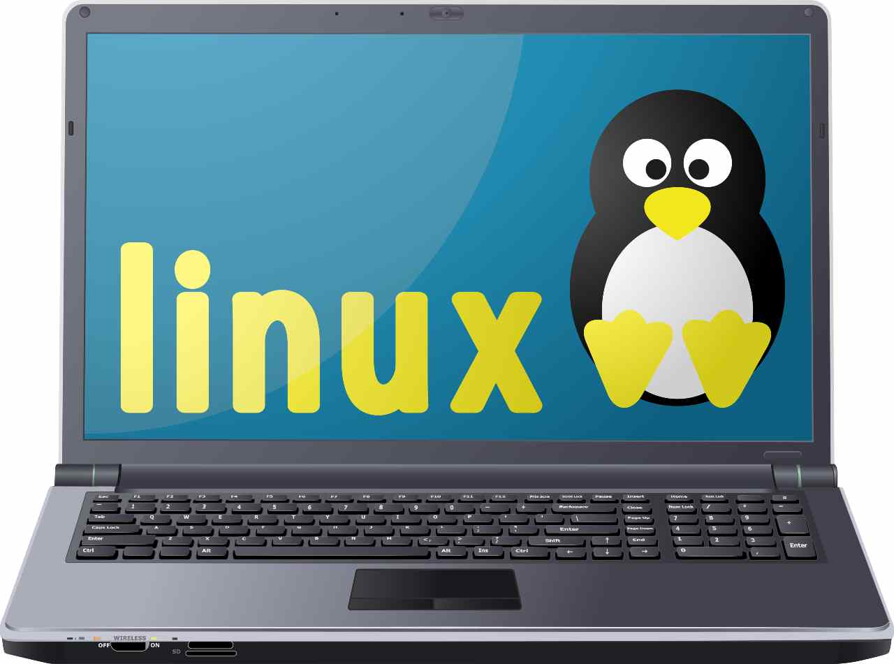 Linux, sono in molti a pensare che sia meglio di Microsoft (Adobe Stock)